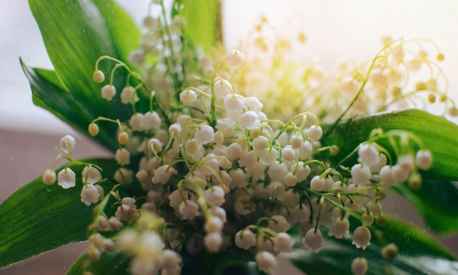 Özel tasarım çiçek buketi örneği
