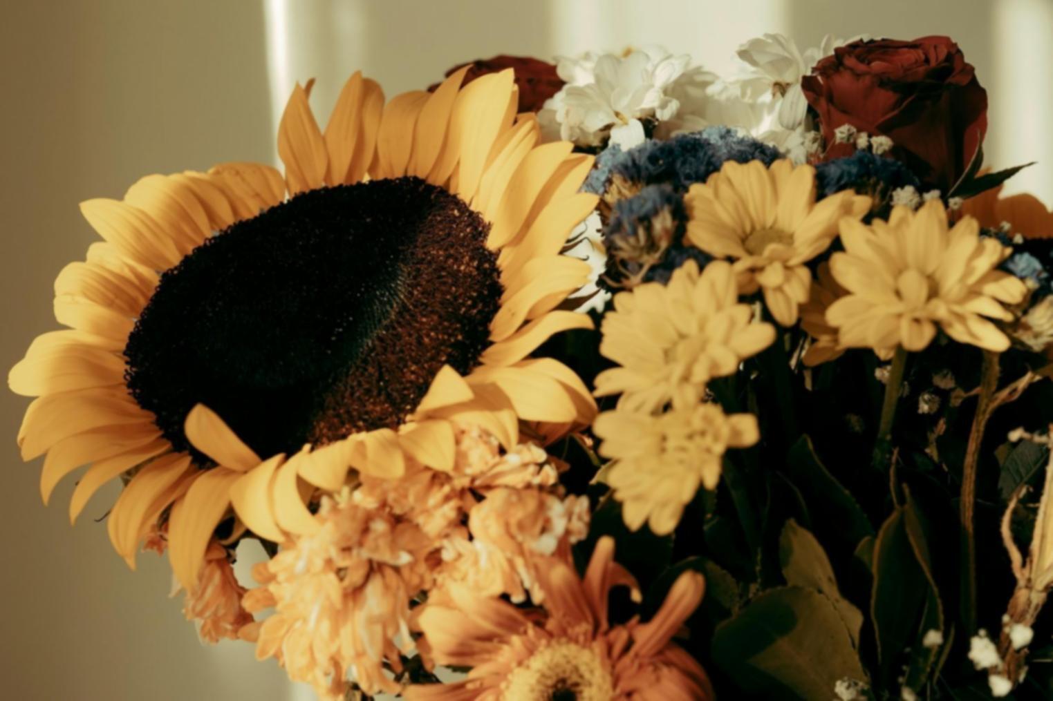 Asimetrik tasarım tekniği çalışması